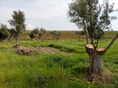 Via Grotteria Mare - Grotteria