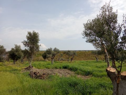 Via Grotteria Mare - Grotteria