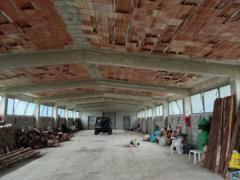 Contrada san sergio mammola - Mammola