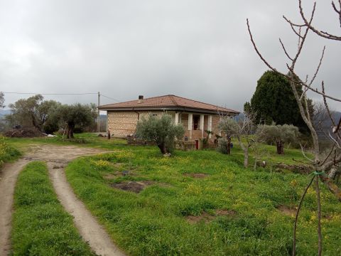 Contrada san sergio mammola - Mammola