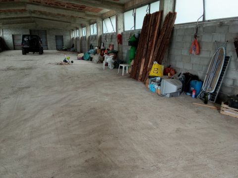 Contrada san sergio mammola - Mammola