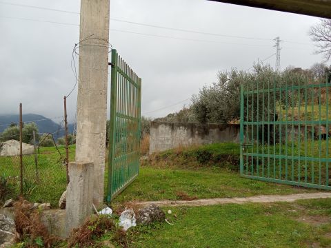 Contrada san sergio mammola - Mammola