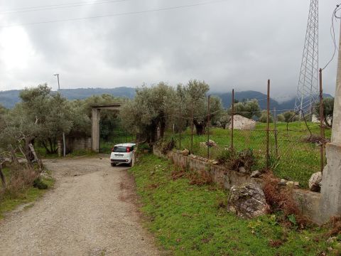 Contrada san sergio mammola - Mammola