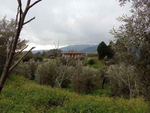 Contrada san sergio mammola - Mammola