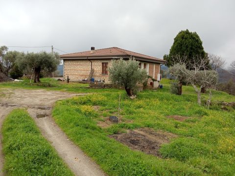 Contrada san sergio mammola - Mammola