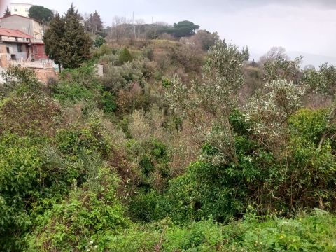 Via Ettore Vitale - Catanzaro