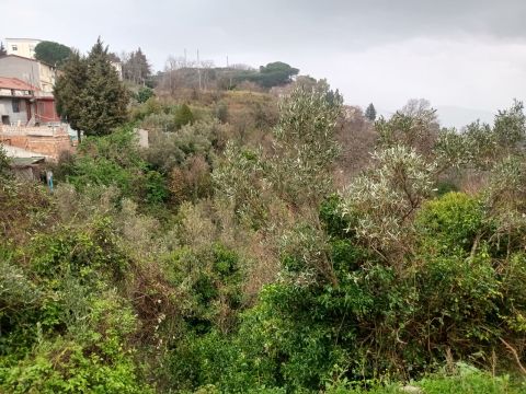 Via Ettore Vitale - Catanzaro