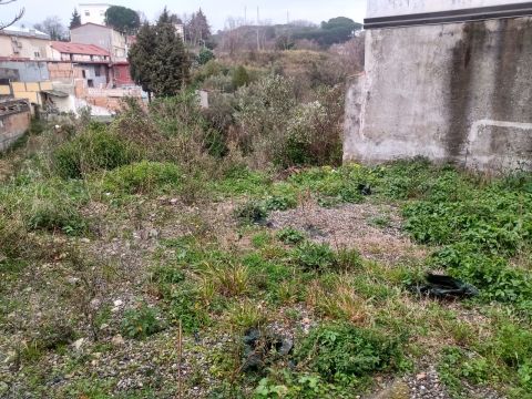 Via Ettore Vitale - Catanzaro