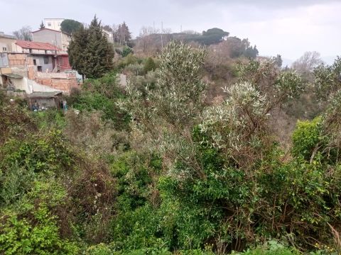 Via Ettore Vitale - Catanzaro