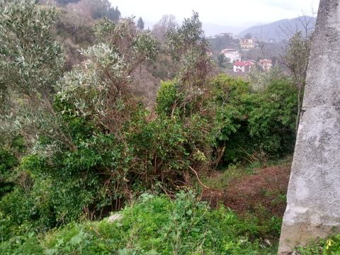 Via Ettore Vitale - Catanzaro