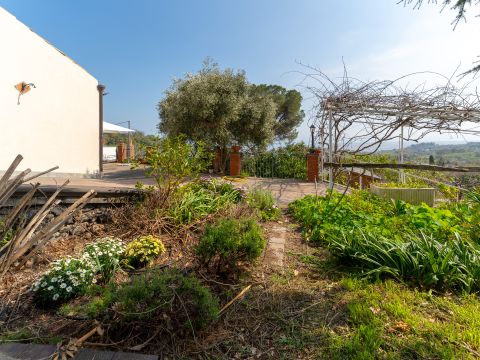 Via Pedata Sant'Agata - Mascali