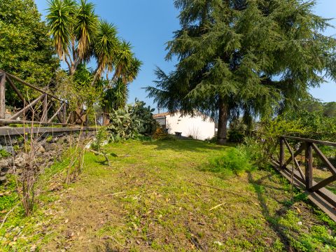 Via Pedata Sant'Agata - Mascali