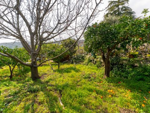 Via Pedata Sant'Agata - Mascali