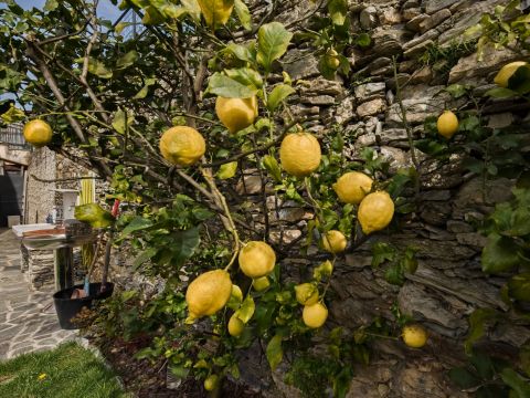 Frazione San Bartolomeo - Sori