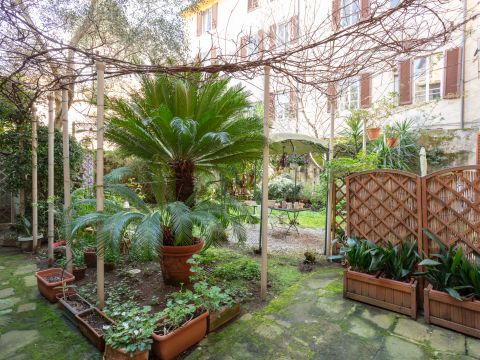 Lungarno Mediceo, 10 - Pisa