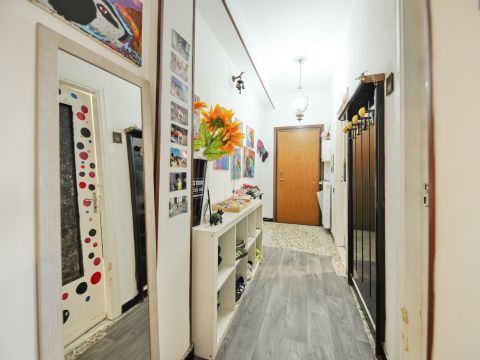 Corso Don Orione, 126 - Tortona