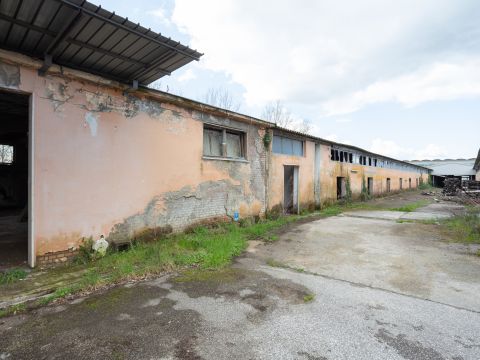 Via Antonio Meucci, 34 - Palaia