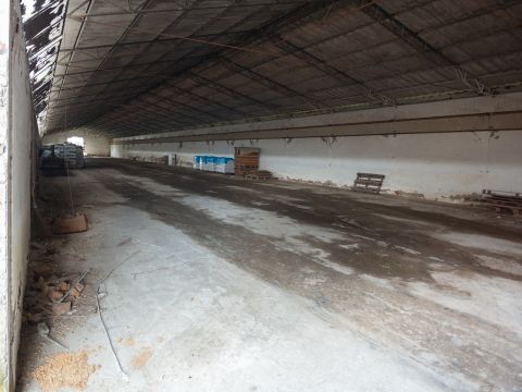 Via Antonio Meucci, 34 - Palaia