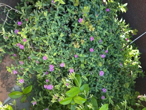 Via Martiri della Loggia, 91 - San Marzano Sul Sarno
