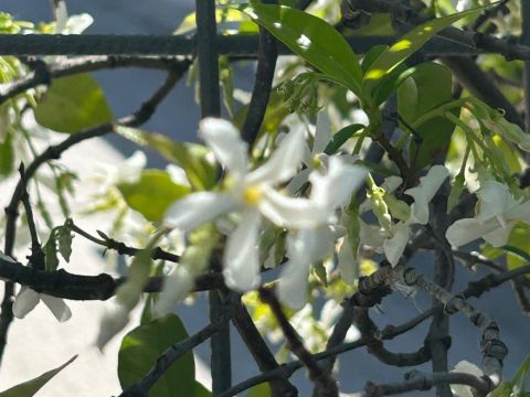 Via Martiri della Loggia, 91 - San Marzano Sul Sarno