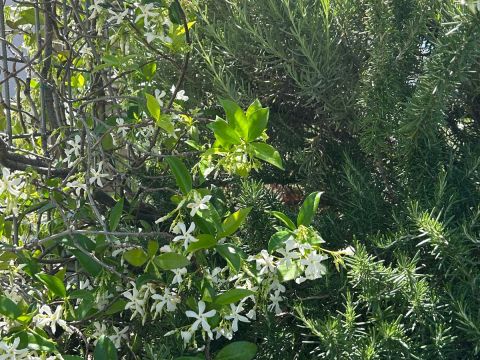 Via Martiri della Loggia, 91 - San Marzano Sul Sarno