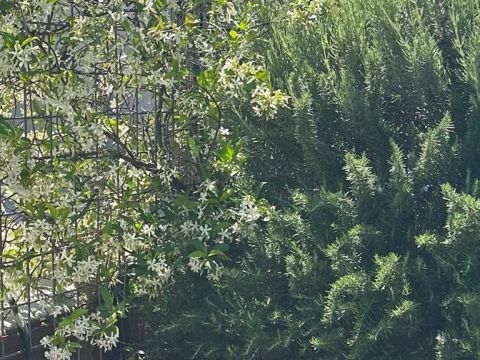 Via Martiri della Loggia, 91 - San Marzano Sul Sarno