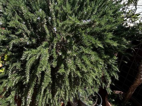 Via Martiri della Loggia, 91 - San Marzano Sul Sarno