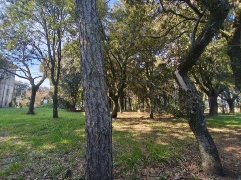 Località Morruzze, 14 - Baschi