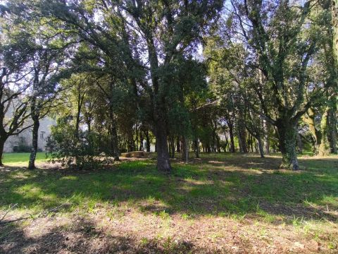 Località Morruzze, 14 - Baschi