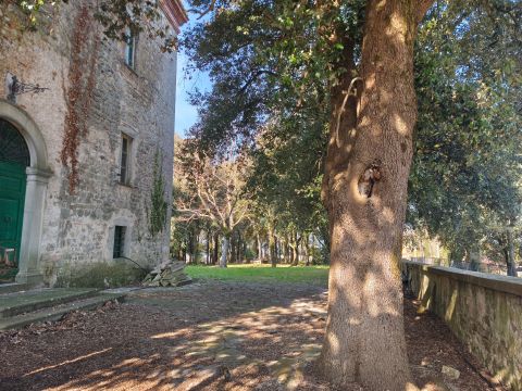 Località Morruzze, 14 - Baschi