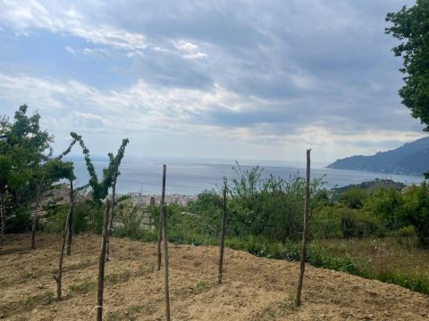 Via Picarella 21 - Salerno