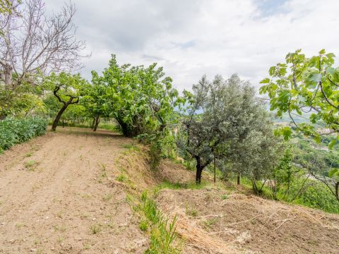 Via Picarella 21 - Salerno