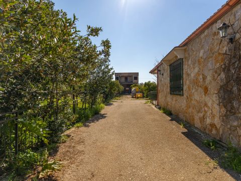 Strada Provinciale 107 - Giovinazzo