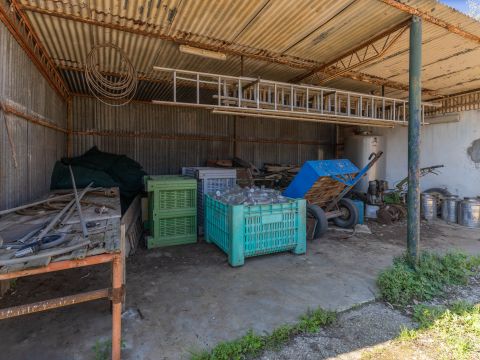 Strada Provinciale 107 - Giovinazzo