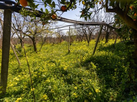 Strada Provinciale 107 - Giovinazzo