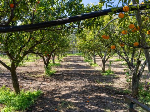 Strada Provinciale 107 - Giovinazzo
