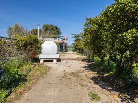 Strada Provinciale 107 - Giovinazzo