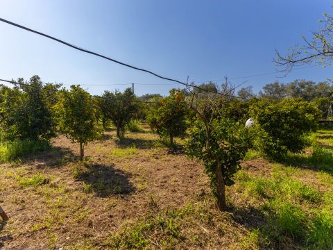 Strada Provinciale 107 - Giovinazzo