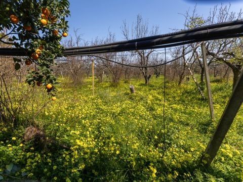 Strada Provinciale 107 - Giovinazzo
