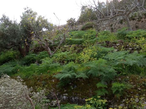 Corso Antonio Gramsci - Grotteria