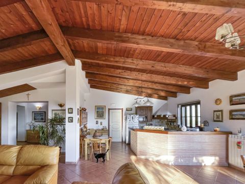 Contrada Donnantona, 19 - Borgia