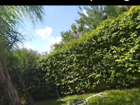 Contrada Cardusa - Gioiosa Ionica