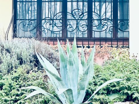 Via 1ª Strada - Fiesso D'artico