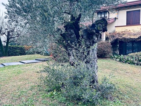 Via 1ª Strada - Fiesso D'artico