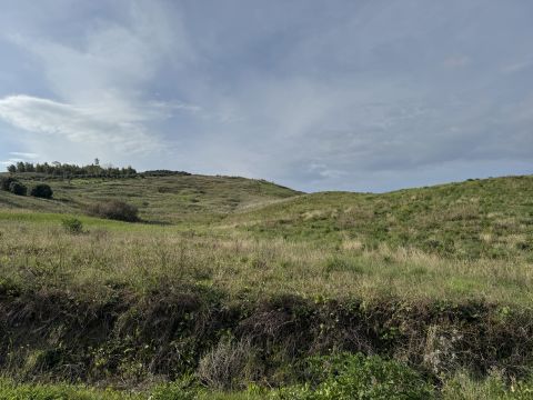 Viale Emilia, 1 - Catanzaro