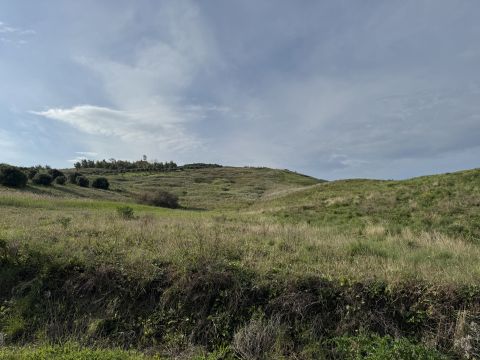 Viale Emilia, 1 - Catanzaro