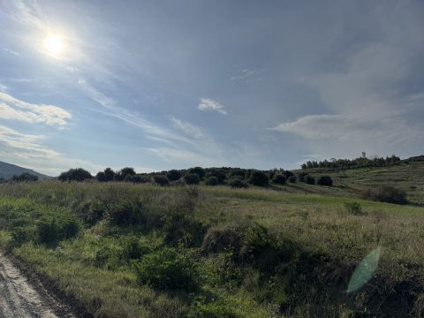 Viale Emilia, 1 - Catanzaro