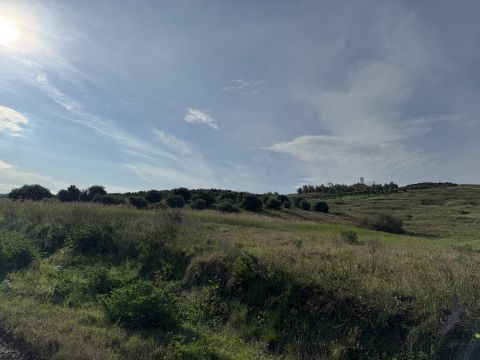 Viale Emilia, 1 - Catanzaro