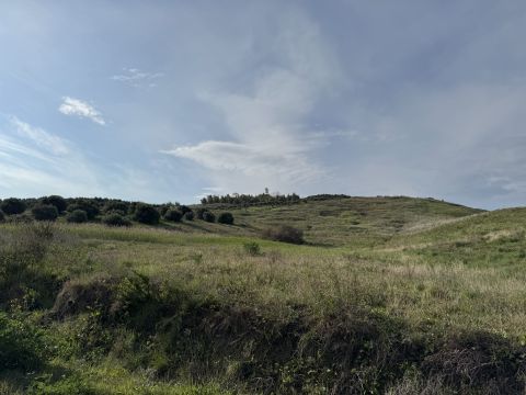 Viale Emilia, 1 - Catanzaro