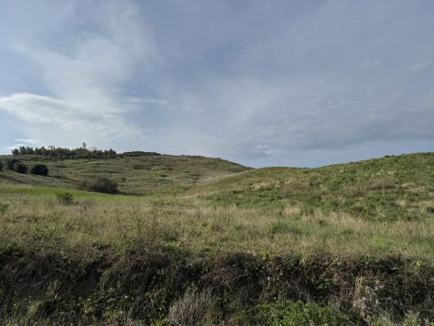 Viale Emilia, 1 - Catanzaro